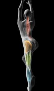 1382368_563378677050283_1106285746_n